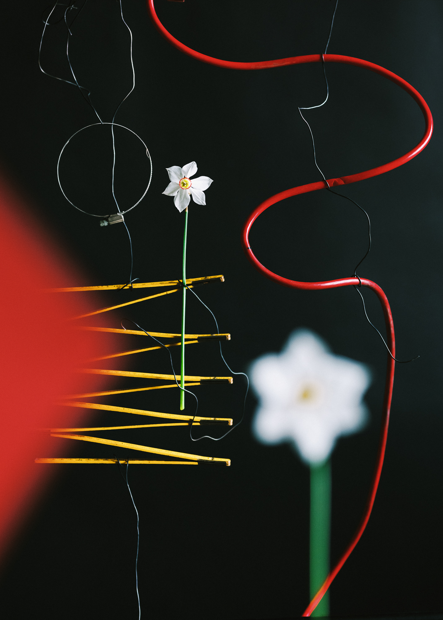 Etude géométrique I, 2024 © Etienne Francey