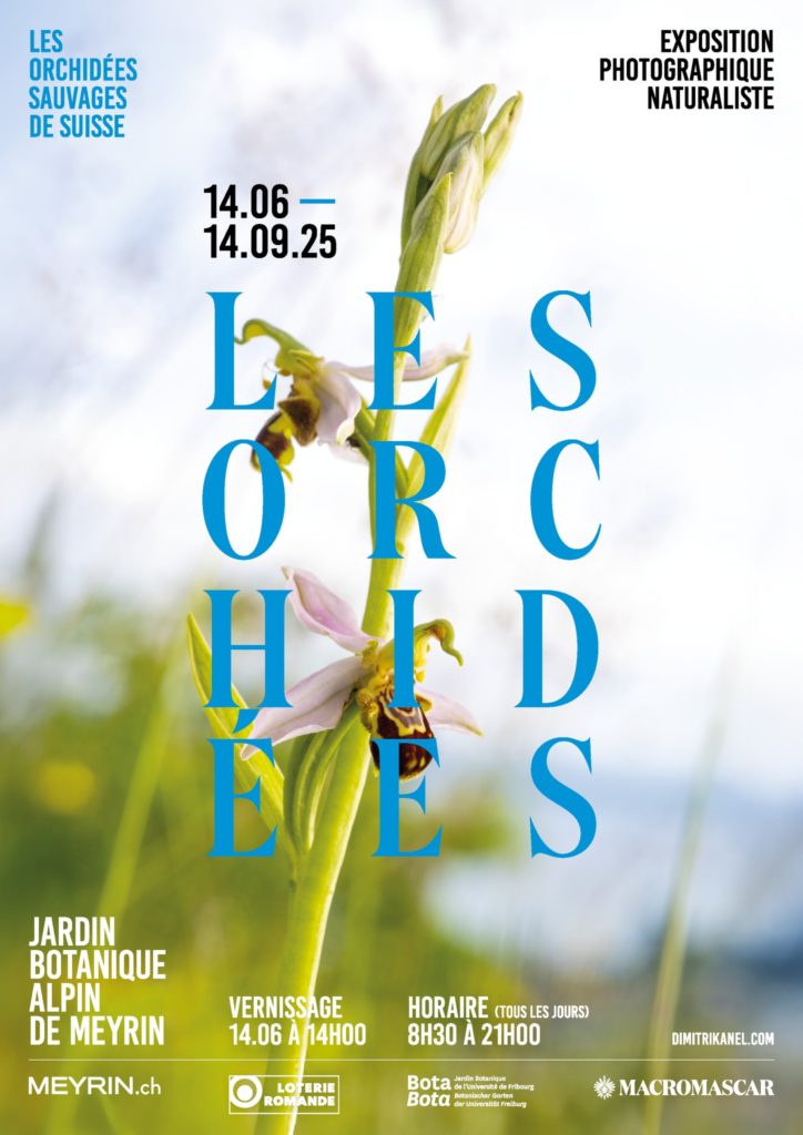 Les Orchidées - © Dimitri Känel et Agence 3 TRAITS