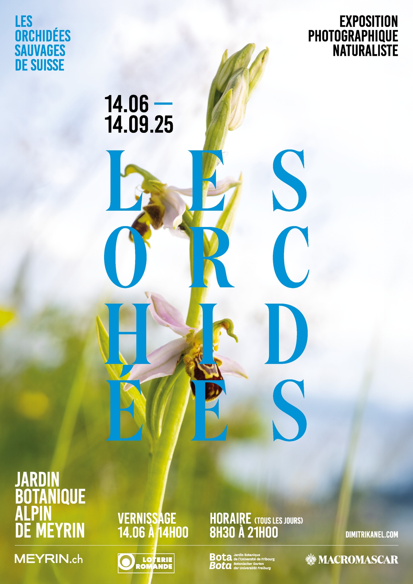 Les Orchidées - © Dimitri Känel et Agence 3 TRAITS