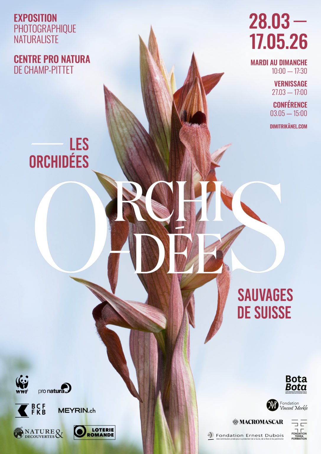 Les orchidées sauvages de Suisse © Dimitri Känel